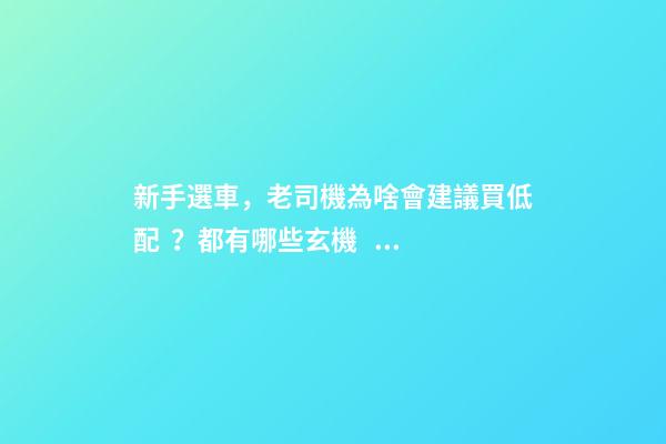 新手選車，老司機為啥會建議買低配？都有哪些玄機？